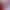 WDL Palace