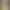 Fluttershy jumps on dick