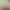 Zelda:skyward sword blowjob