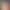 Renvra animation