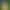 Twilight POV