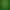 Tentacle Game