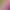 pink dildo loop