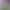 Essrayle Sex Flash