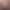 MLP fuck and cum
