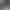 horse_bj