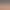 Roasting Pure Animation
