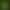Saria can polish bottles. . . .