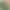 Ko animation