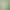 twilight princess tentacle loop