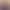 KDA Akali Interactive Wedgie