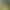 Avatar: Toph blowjob