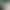 Kaylee Animation Loop