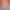 Penis-Love