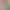 Nurse Joy And Bulbasaur