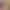 Sex Kitten Sim-Date