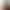 Guess Next With Catie Minx