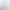 white fox pov loop