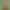 The Legend Of Zelda Sim Date
