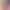 Tatzlwurm gets Twilight