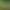 The Great Marsh