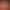 Dungeon - Animation