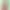 Undress DOT