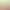 Zelda Blowjob Animation