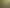 Fuckerman: Amazons poster